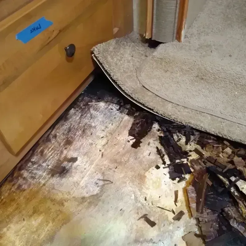 Wood Floor Water Damage in Preston, MN